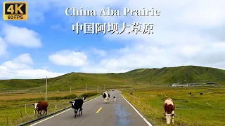 Driving on the Aba Prairie Highway - Sichuan Province, China - 4K