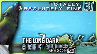 THE LONG DARK — Against All Odds 31 [S01]: Totally, Absolutely Fine | Tales Upd. 4 Stalker+ Gameplay