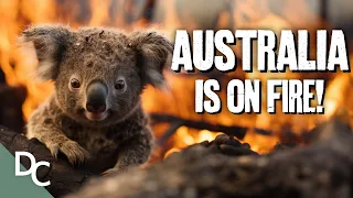 Will Australia Survive the Next Firestorm? | Decoding Danger | Documentary Central