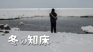 I met Steller's sea eagle on the Shiretoko Nature Cruise in Rausu [Japan-Hokkaido solo trip]