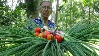 Village Food ❤ Spring Onion Stir Fry Recipe by Grandma