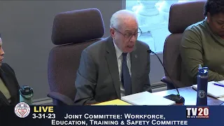 Workforce, Education, Training and Youth Development & Safety Committee, March 31, 2023