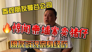 参观朋友曼谷公司，惊闻柬埔寨卖猪仔，朋友述说亲身经历