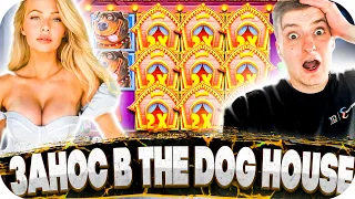 ДЕВУШКА ЗАЛЕТАЛА НА СТРИМ К ЗЛОМУ! ЗАНОС В THE DOG HOUSE! ВЫИГРАЛ 200 000! ЗАНОСЫ НЕДЕЛИ