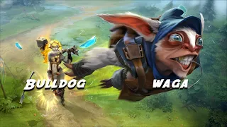 Bulldog Reaction to Waga Smurf Getting Banned