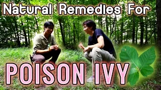 Natural Remedies for Poison Ivy | Summer Camping Wild and Herbal Medicine and First Aid