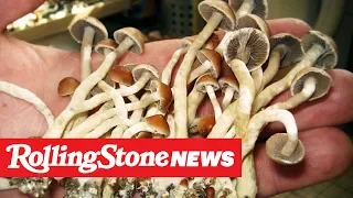 Oakland Decriminalizes Psychedelic Mushrooms | RS News 6/6/19