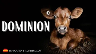 Dominion - Documental completo con audio en español