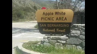 Wow...$10.00 a night! Apple White Campground!