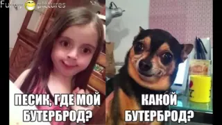 Лучшие ПРИКОЛЫ 2015 ютуб, супер подборка 2015 лучшие приколы 2015