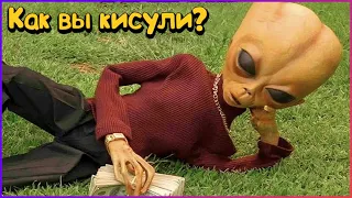 ТЕСТ НА ПСИХИКУ/ 664 СЕКУНД СМЕХА/ЛУЧШИЕ ПРИКОЛЫ ЗА ИЮЛЬ 2022 РЖАКА/ПОПРОБУЙ НЕ СМЕЙСЯ!BEST COUB