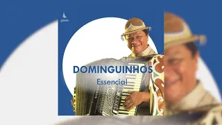 Dominguinhos - "Fogo e Gasolina"