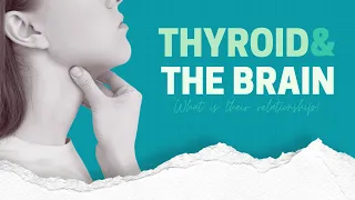 The Brain and Thyroid: What is their relationship?