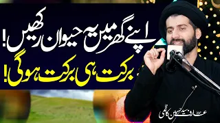 Barkat Wala Haivaan | Maulana Syed Arif Hussain Kazmi | ⓒ