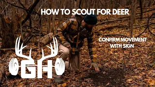 Whitetail Strategy // How To Scout For Deer // GUNNAR HANSON