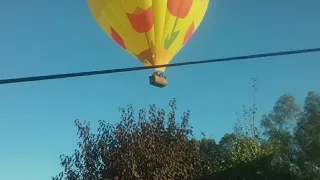 There's a hot air balloon right outside our house!