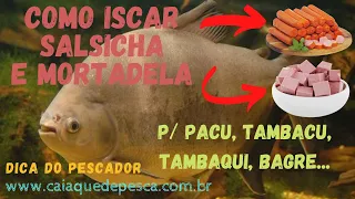 Como iscar corretamente salsicha e mortadela (Pacu, Tambacu, Tambaqui, Bagre) Top Demais!