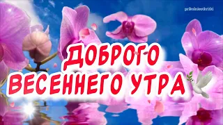 С добрым утром 🕊️ С первым днем весны!  Красивое весеннее пожелание для тебя