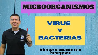 VIRUS Y BACTERIAS. que son? como se clasifican, características  e impacto ecológico