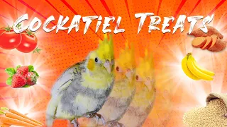 Cockatiel Food, Treats and what they love to eat