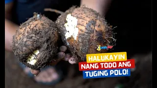 Halukayin nang todo ang tuging polo! | I Juander