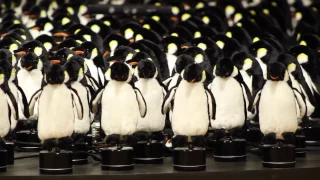 Daniel Rozin: Penguins Mirror
