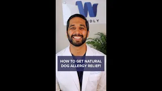 How to Get Rid of Dog Allergies Naturally