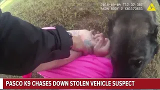 Body cam video shows Pasco K9 chasing down stolen vehicle suspect