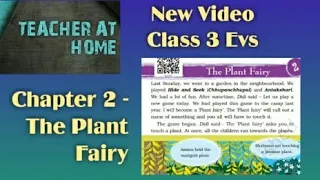 NCERT Class 3 EVS  Chapter 2 THE  PLANT FAIRY with explanation