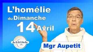 Évangile et homélie du Dimanche 14 Avril - Avec Mgr Aupetit