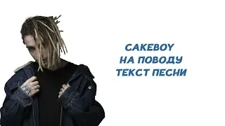 CAKEBOY - На Поводу // ТЕКСТ ПЕСНИ // КАРАОКЕ