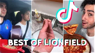 Best of TikTok Lionfield Compilation #2