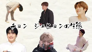 【NCT 127 / ジェヒョン】チョンジェヒョンっておもれぇ男。[日本語字幕]