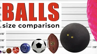 Sports Balls  Size Comparison | All Balls are from the Smallest to the Largest | World INFO