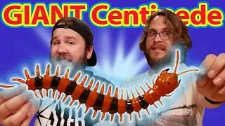 A Giant Centipede That You Control - LUKSTAR RC