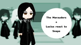 The Marauders + Lucius react to Snape