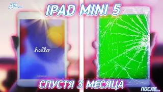 iPad mini 5 СПУСТЯ 3 МЕСЯЦА АКТИВНОГО ИСПОЛЬЗОВАНИЯ в 2023 ГОДУ... 😳