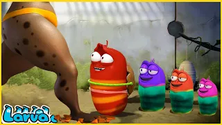 LARVA BIG AND SMALL | CARTOON MOVIE FOR LIFE |THE BEST OF CARTOON | HILARIOUS CARTOON COMPILATION