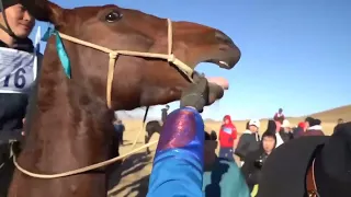 Тыва. Дан старт сезону конных скачек!