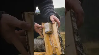 A MAN makes an amazing Candle #survival #bushcraft #outdoors #camping