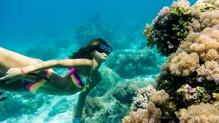 Panglao Fun Freediving - 自由潛水