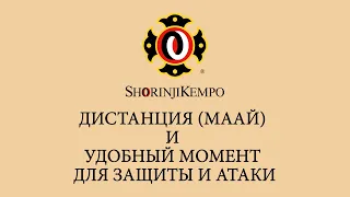 14 лекция (2 кю) ДИСТАНЦИЯ МААЙ И УДОБНЫЙ МОМЕНТ ДЛЯ ЗАЩИТЫ И АТАКИ