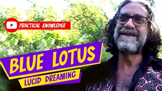 Using Blue Lotus For Lucid Dreaming