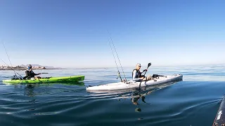 Guided Kayak Fishing Trips! January 2021 | Cape Town