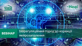 Біорегуляційний підхід до корекції нейрозапалення