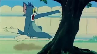 Tom and Jerry - 44 Episode, Love That Pup 1949 - [ T&J Movie ]_HD