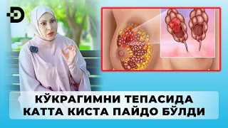 КЎКРАГИМНИ ТЕПАСИДА КАТТА КИСТА ПАЙДО БЎЛДИ