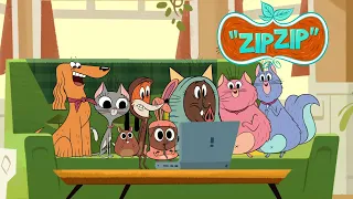 Vidéo gaffe | Zip Zip | Episode entier | Saison 1 | Dessin animé pour enfants