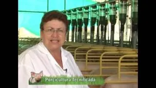 Cómo realizar porcicultura tecnificada - TvAgro por Juan Gonzalo Angel