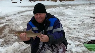 ЯЗЬ В ХАНТАХ НАС НЕ ЖДАЛ А МЫ ПРИПЁРЛИСЬ))), ГЛАВНОЕ ПРОЦЕСС! РЫБАЛКА НА РЕКЕ ЯГУН У СОСЕДЕЙ В ХМАО!